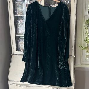 BRAND NEW w/o TAGS. Loft velour long sleeve dress. Just  above the knee.
